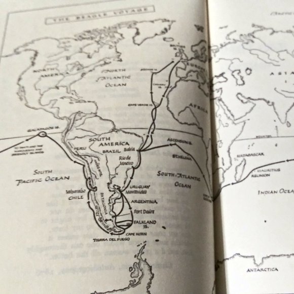 The Autobiography of Charles Darwin, The Origin, Irving Stone, Biology, Science - Picture 4 of 11